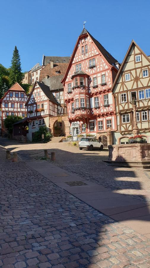Ferienwohnung Friedrich Michelstadt Luaran gambar